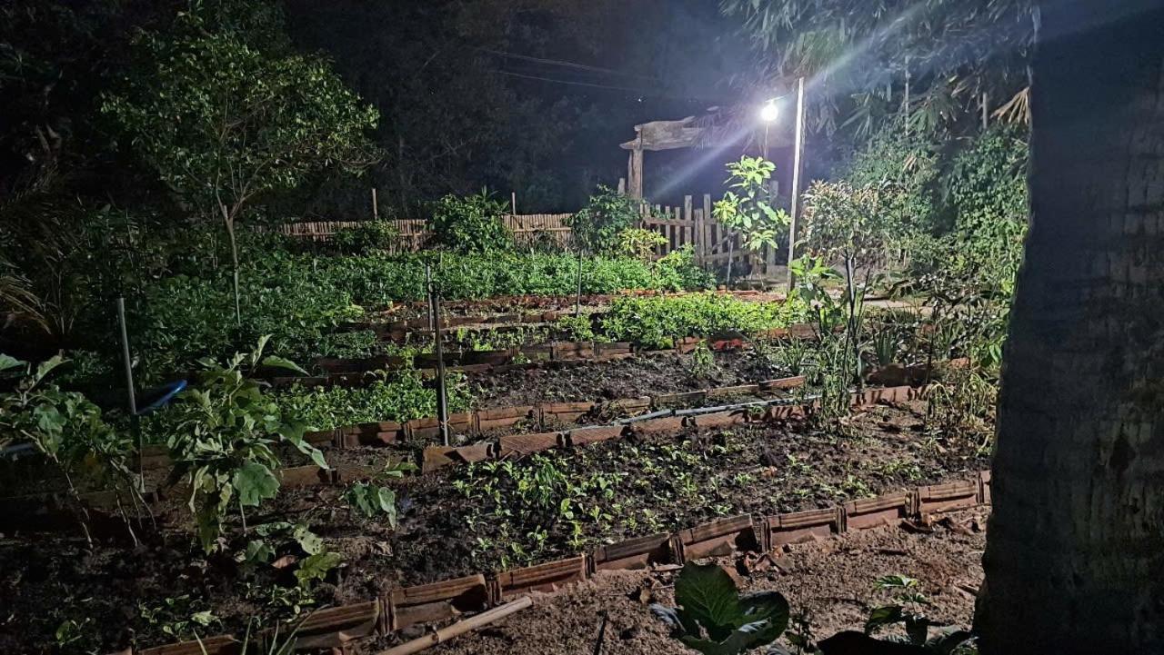 Homestay Dat Phu Туихоа Экстерьер фото
