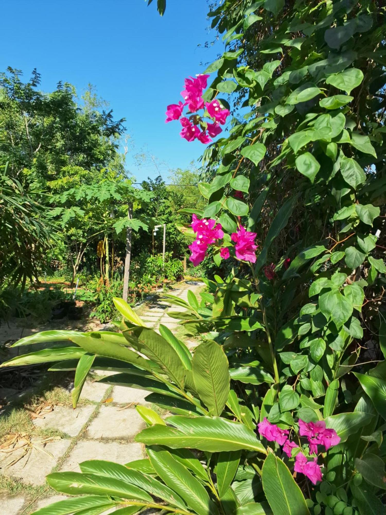 Homestay Dat Phu Туихоа Экстерьер фото