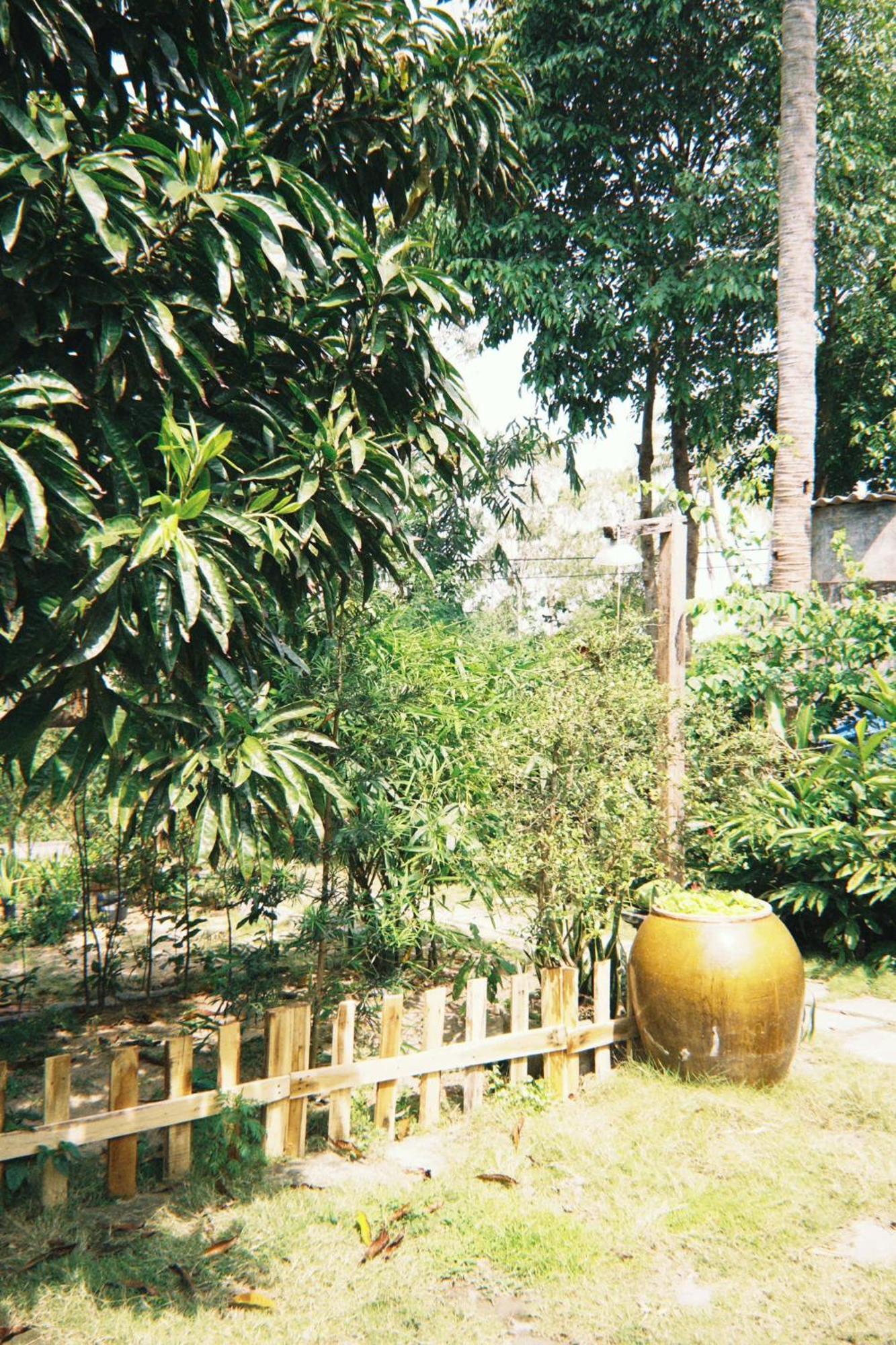 Homestay Dat Phu Туихоа Экстерьер фото